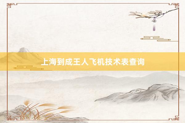 上海到成王人飞机技术表查询